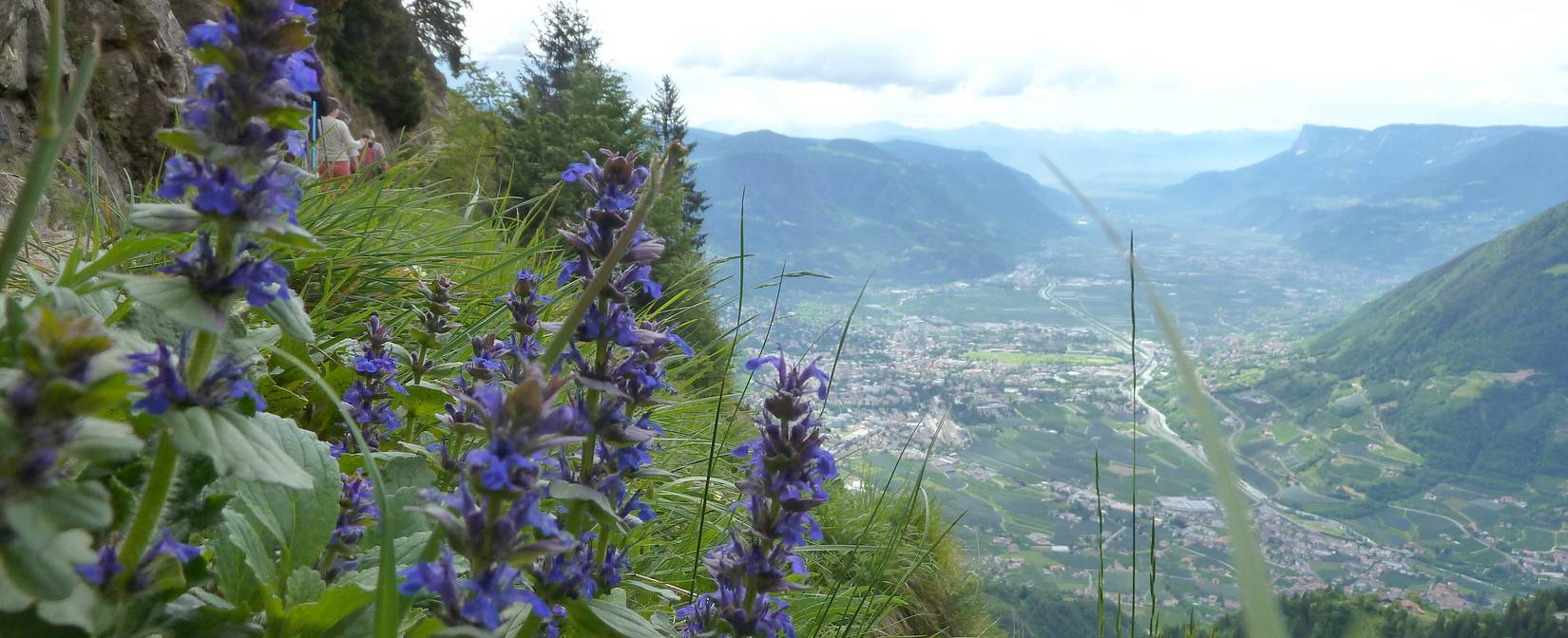 Wandern Naturns und Vinschgau - Hotel Funggashof