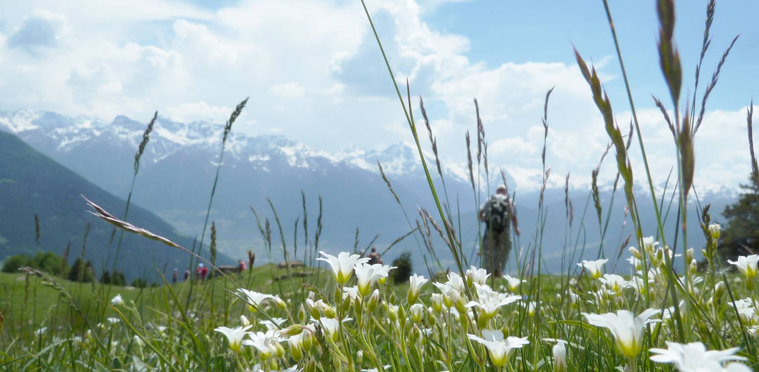 Geführte Wanderungen - Hotel Funggashof